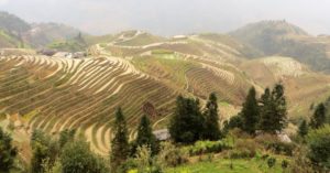 TERRACED HILLSIDE VILLAGES